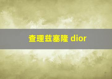 查理兹塞隆 dior